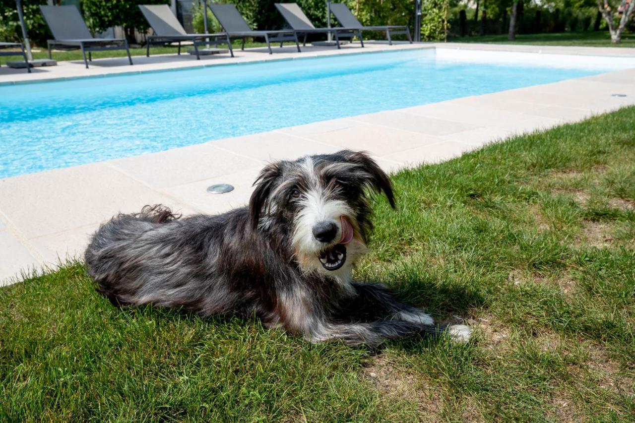 B&B L'Oree Du Bois Bourgogne - Adults Only Saint-Nicolas-les-Citeaux Luaran gambar